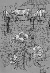 Auf der Wiese bei Rosenlust