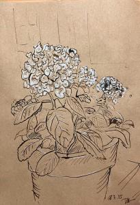 sketchbooks